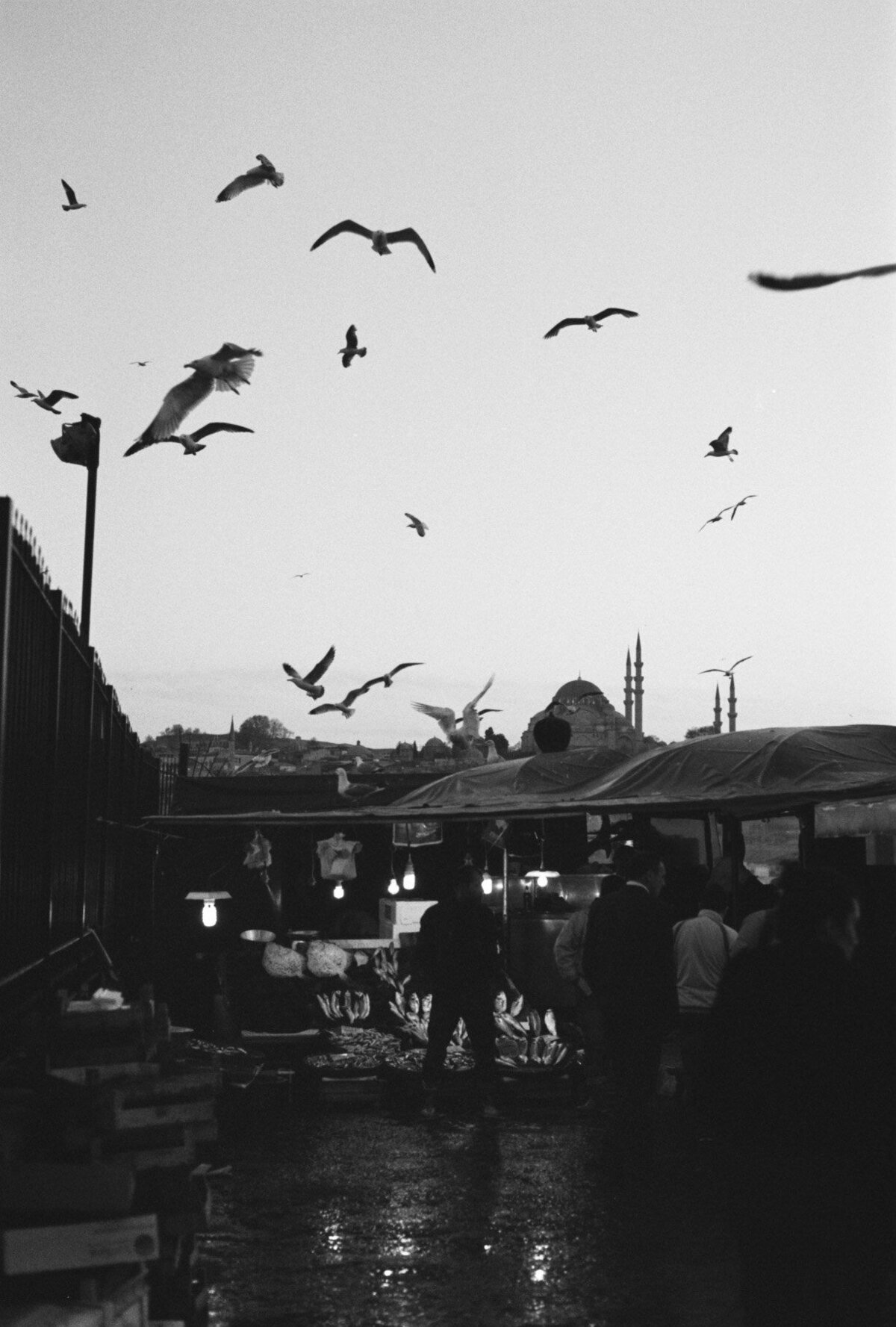 sydney-wedding-film-photographer-54