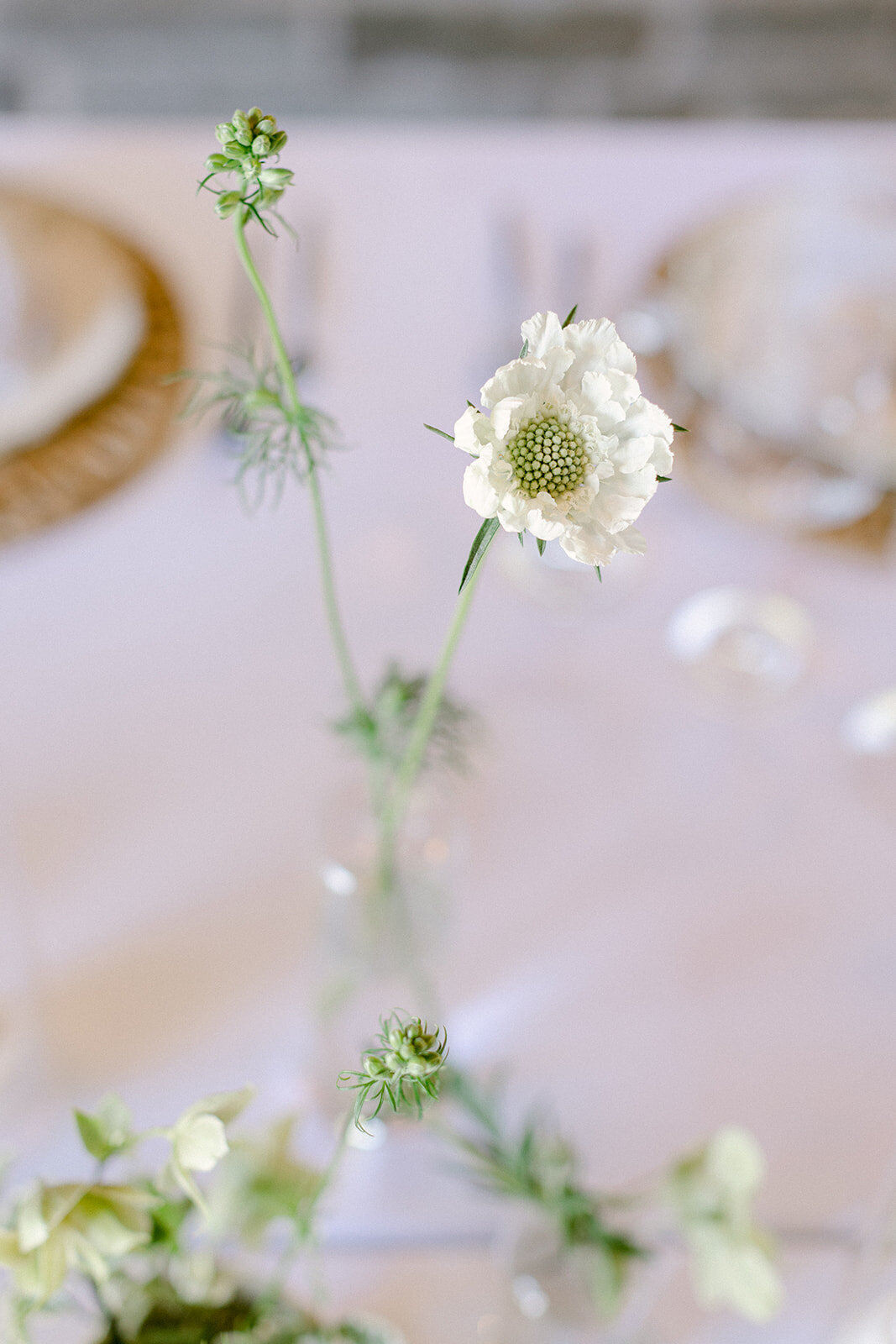 organic-white-flower-design-wedding