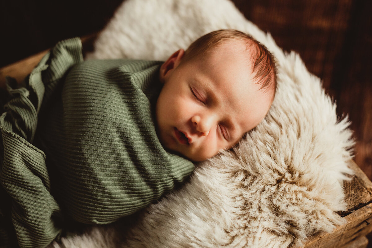 newborn session