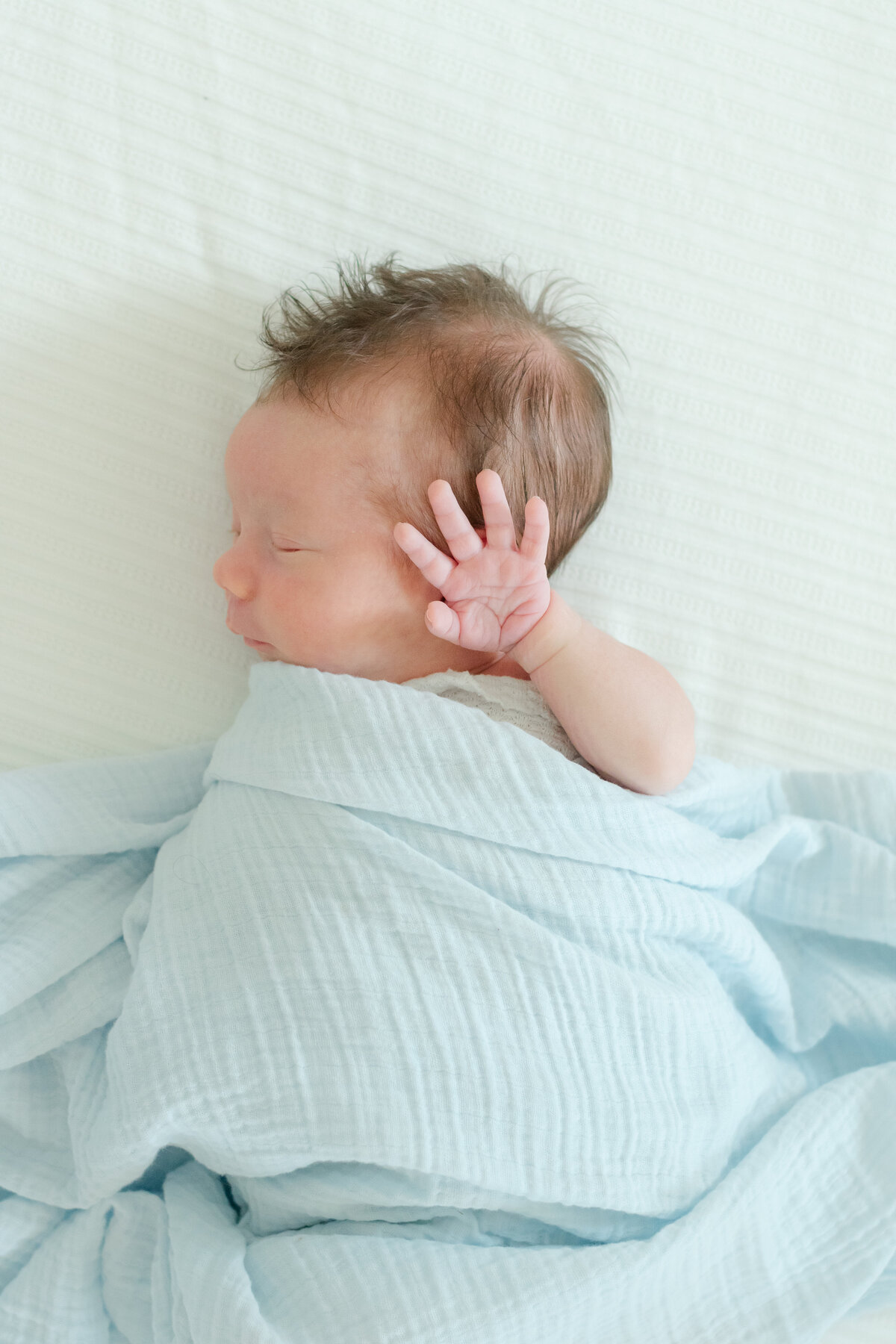 winston-salem-newborn-photographer26