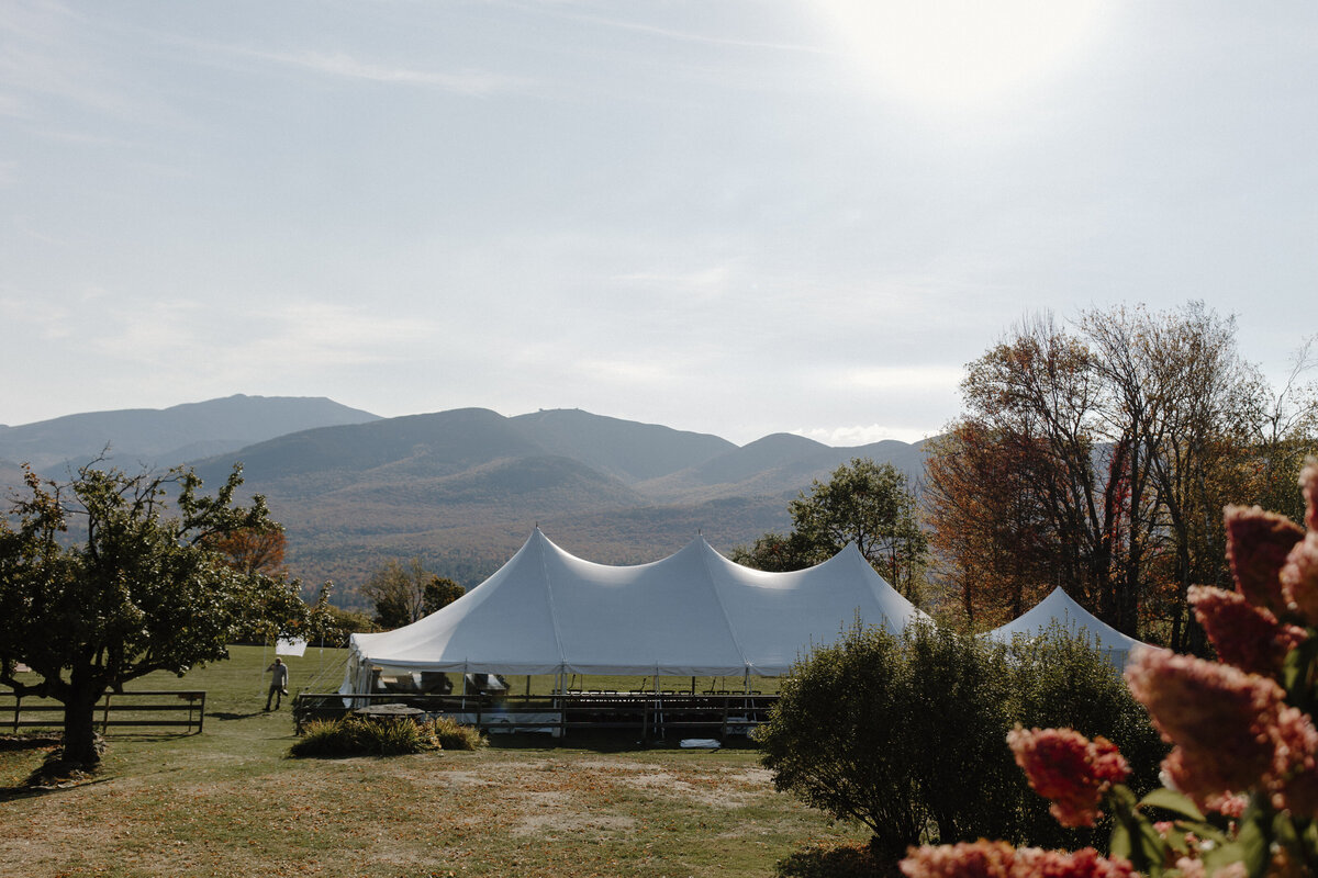 how much does a wedding photographer cost