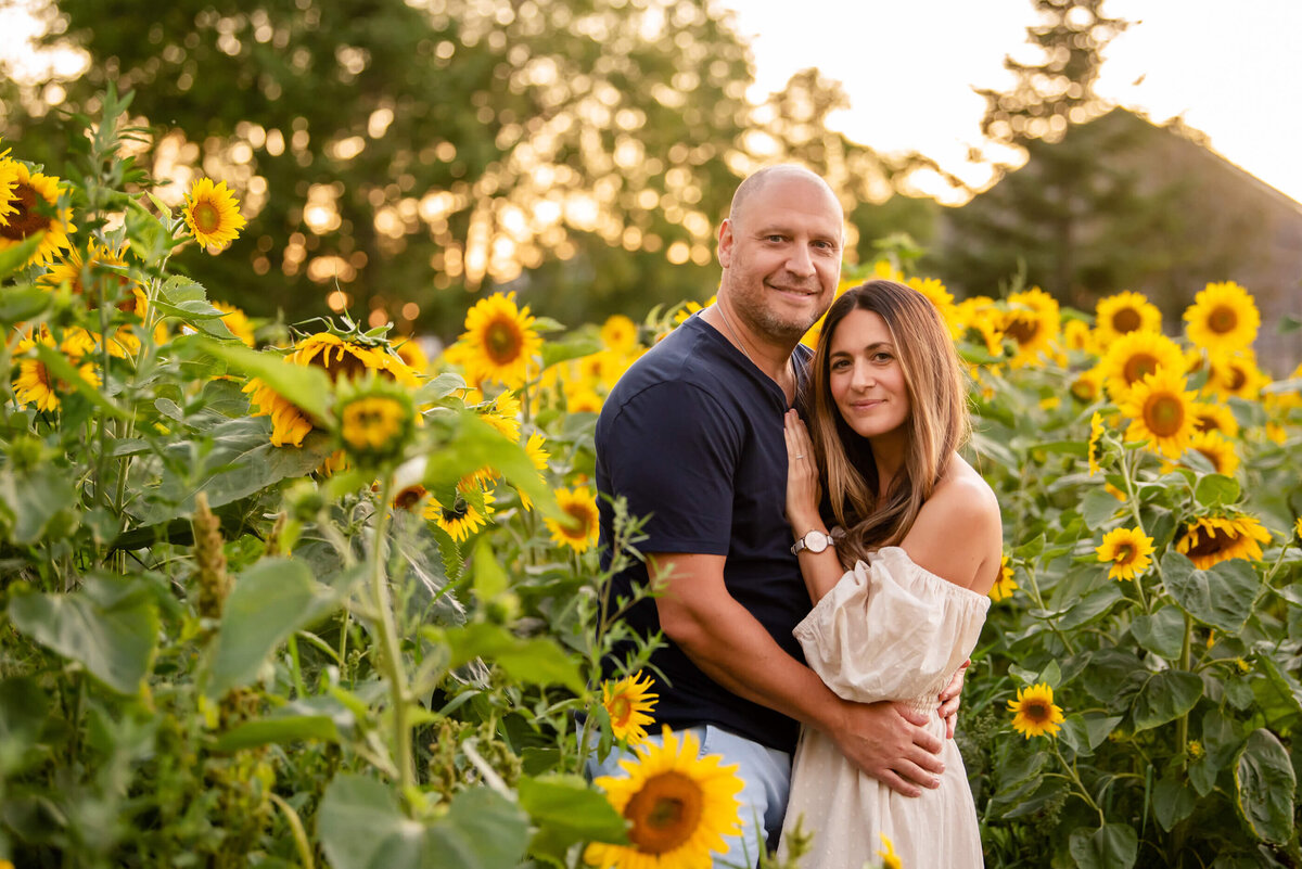 Mom and dad cuddling in a sunflower field in the golden hour for their family Burlington , ON photos