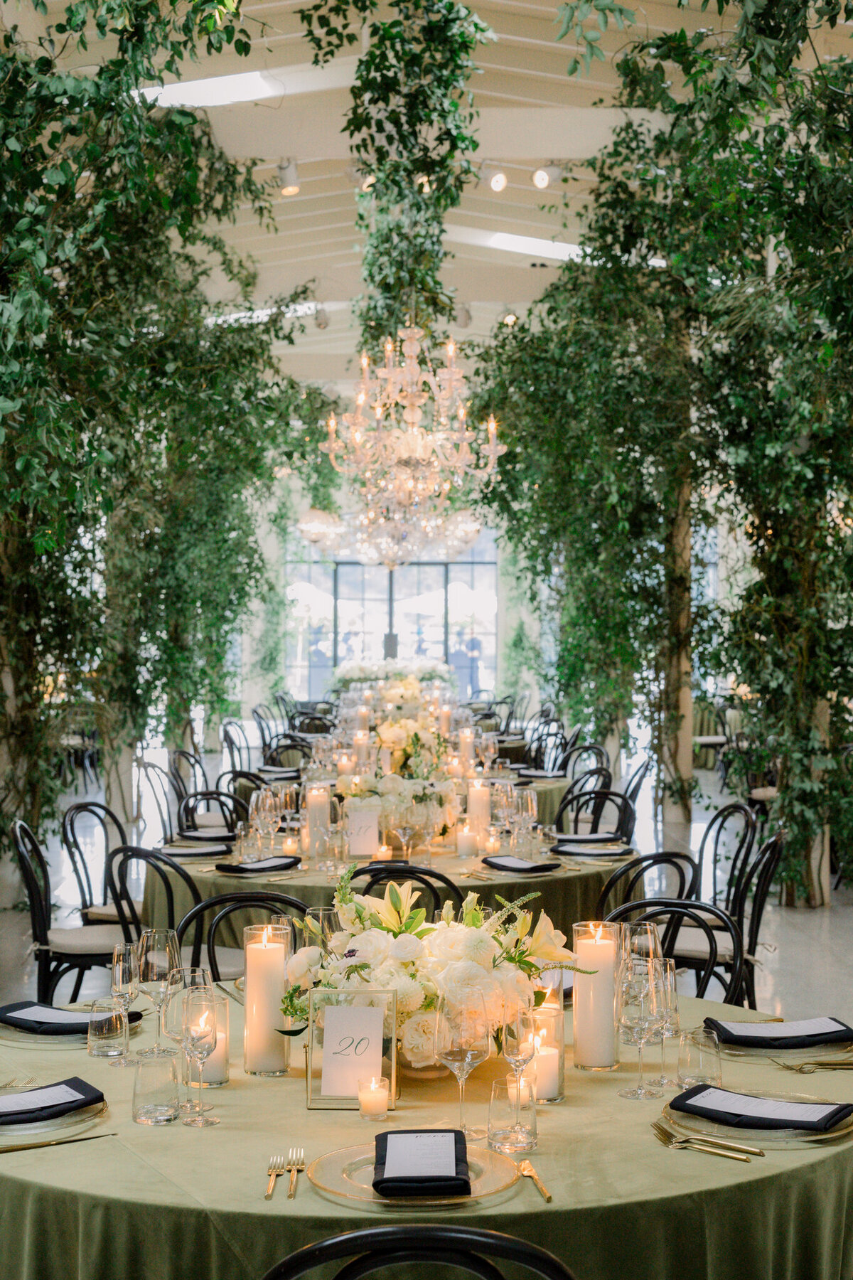 Tyler Speier Events - L&S -1115