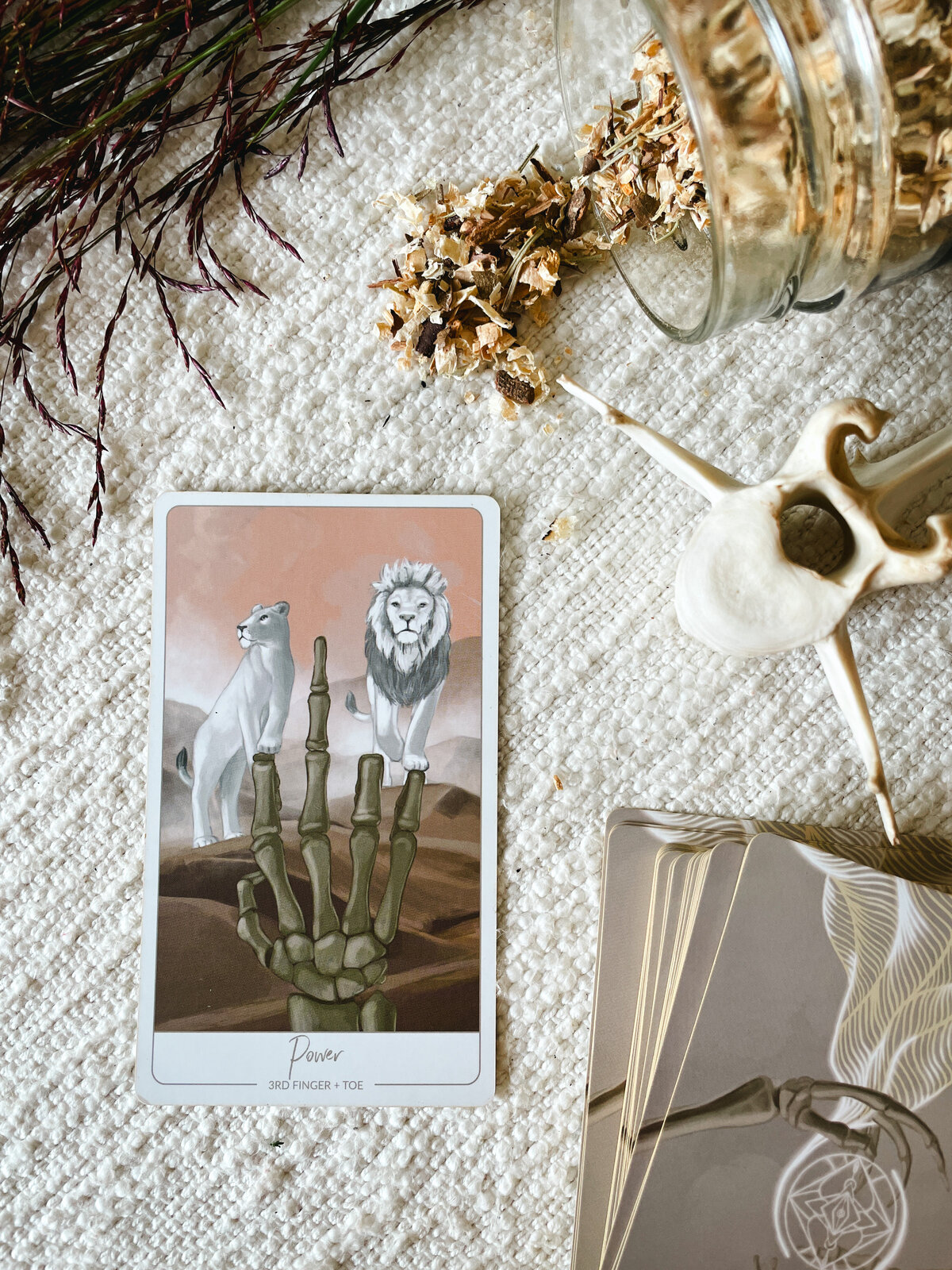 Close up of the "Power" Oracle Card showing bones of a hand in the desert with the 3rd finger raised and lions climbing on the other bones