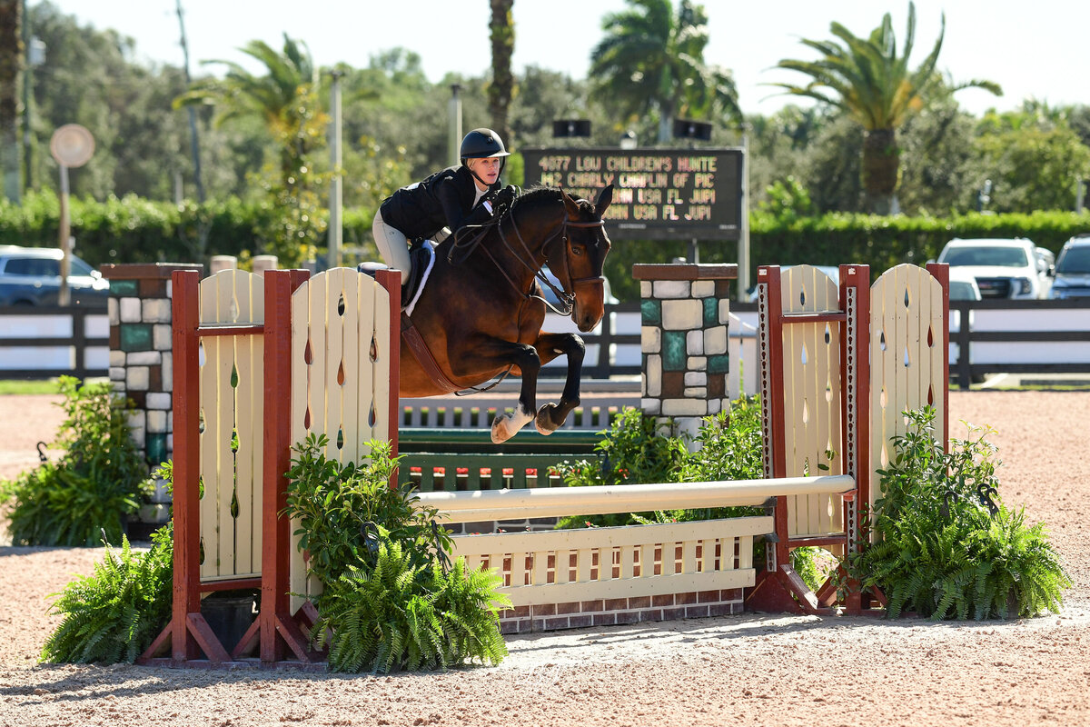 CAS01-WEF23-1787