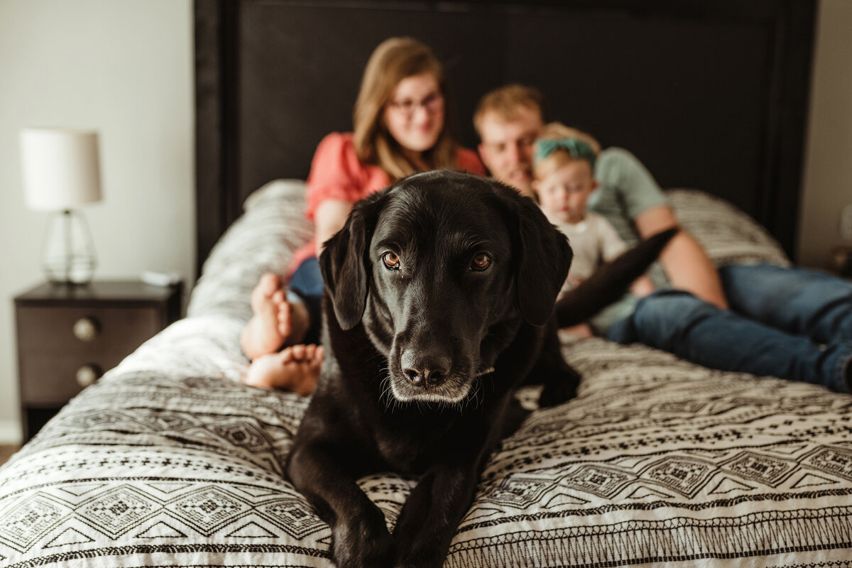 family with dog on bed