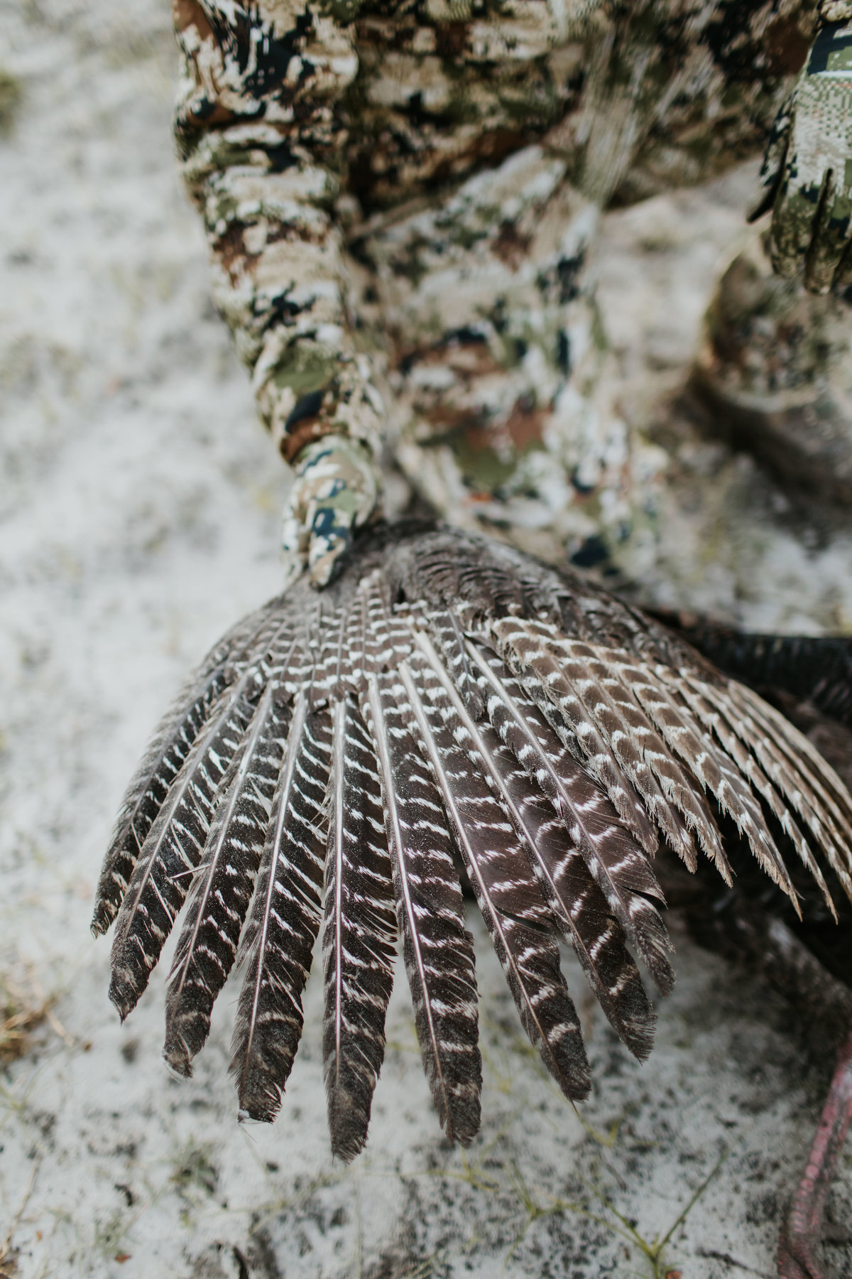 Charleston-sc-turkey-hunting-lifestyle-photography-5