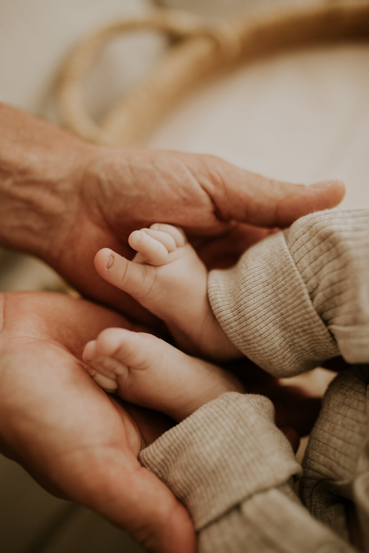 Red Deer Newborn Baby Photographer 034