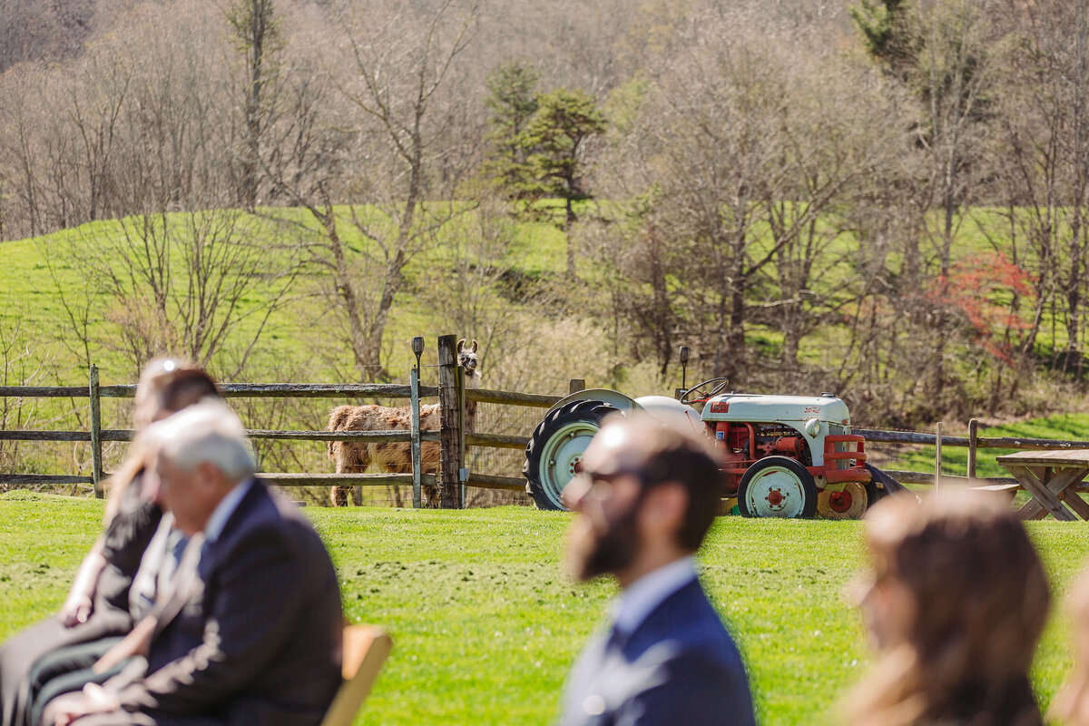 Claxton-Farm-NC-Elopement-19