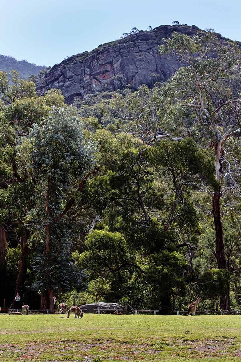 grampians-villa