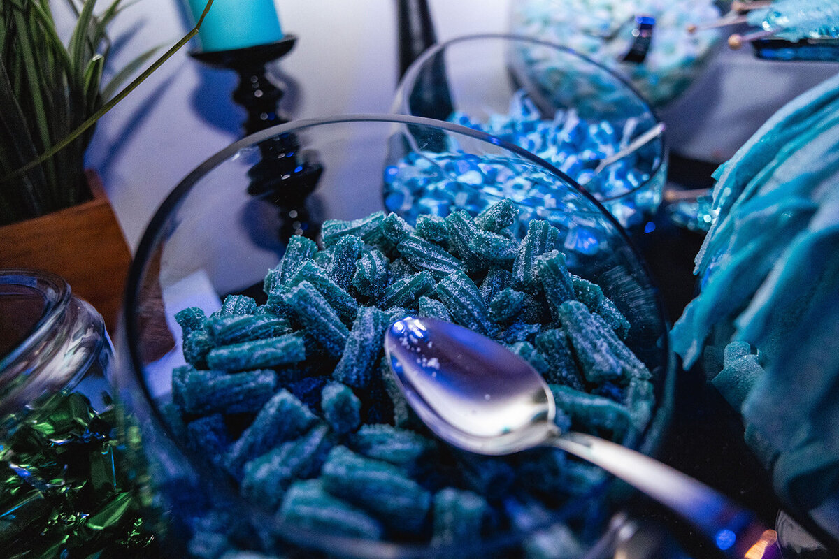 best-mitzvah-planner-orange-county46