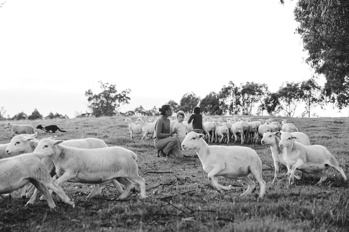 sapphire coast photographer 21