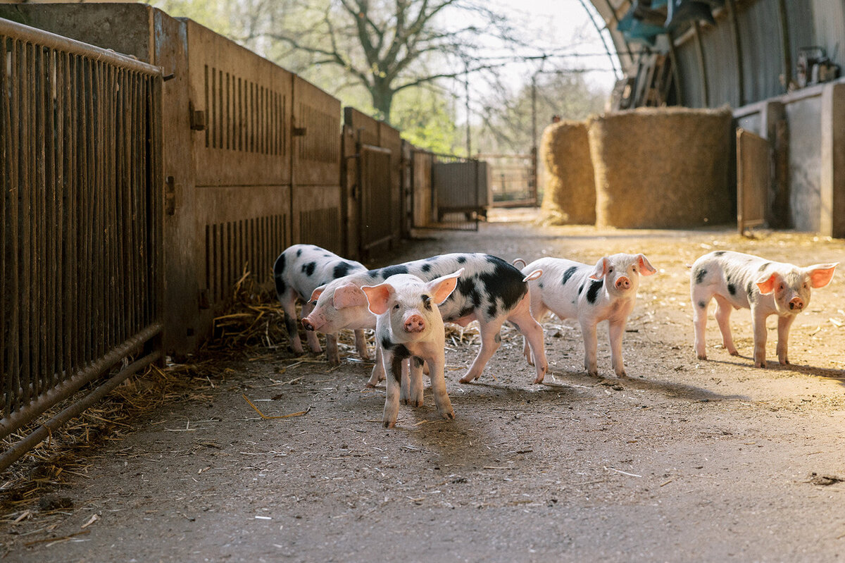 FotostudioFlora_Sengersbroek-11