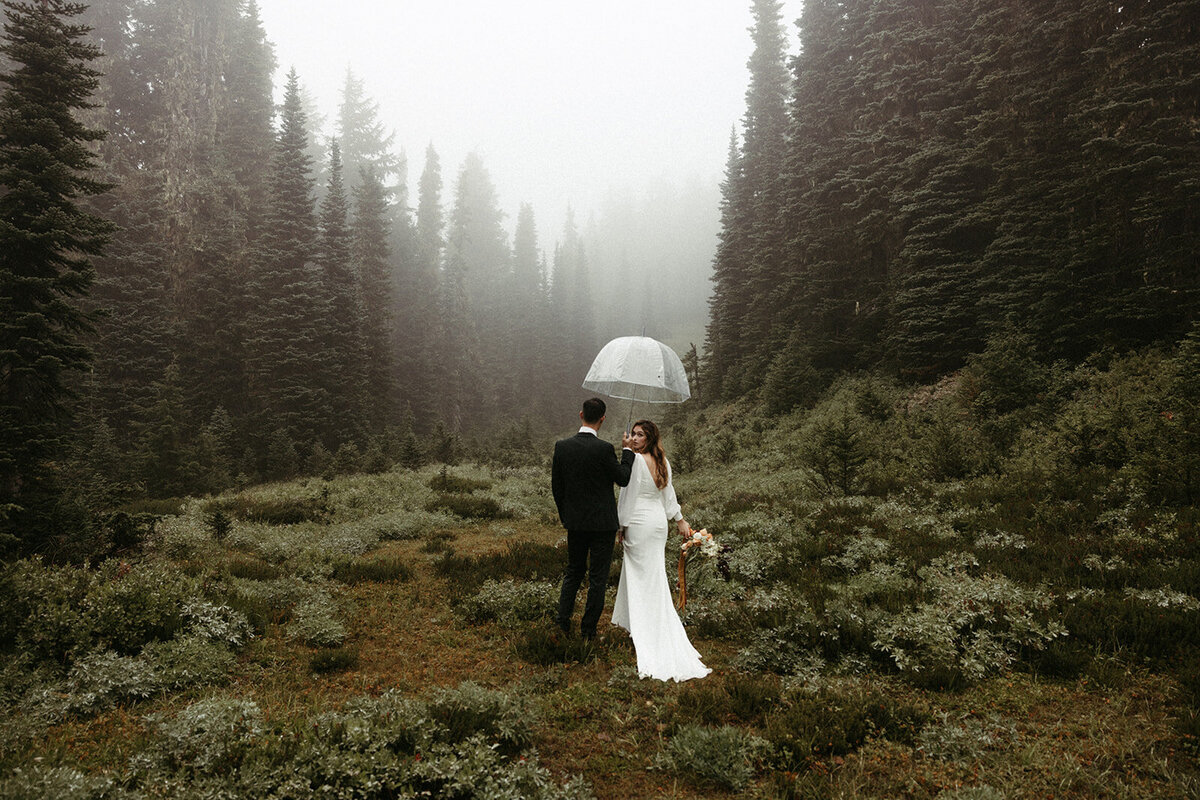 MtRainierSmallWedding-DallinHazard-143
