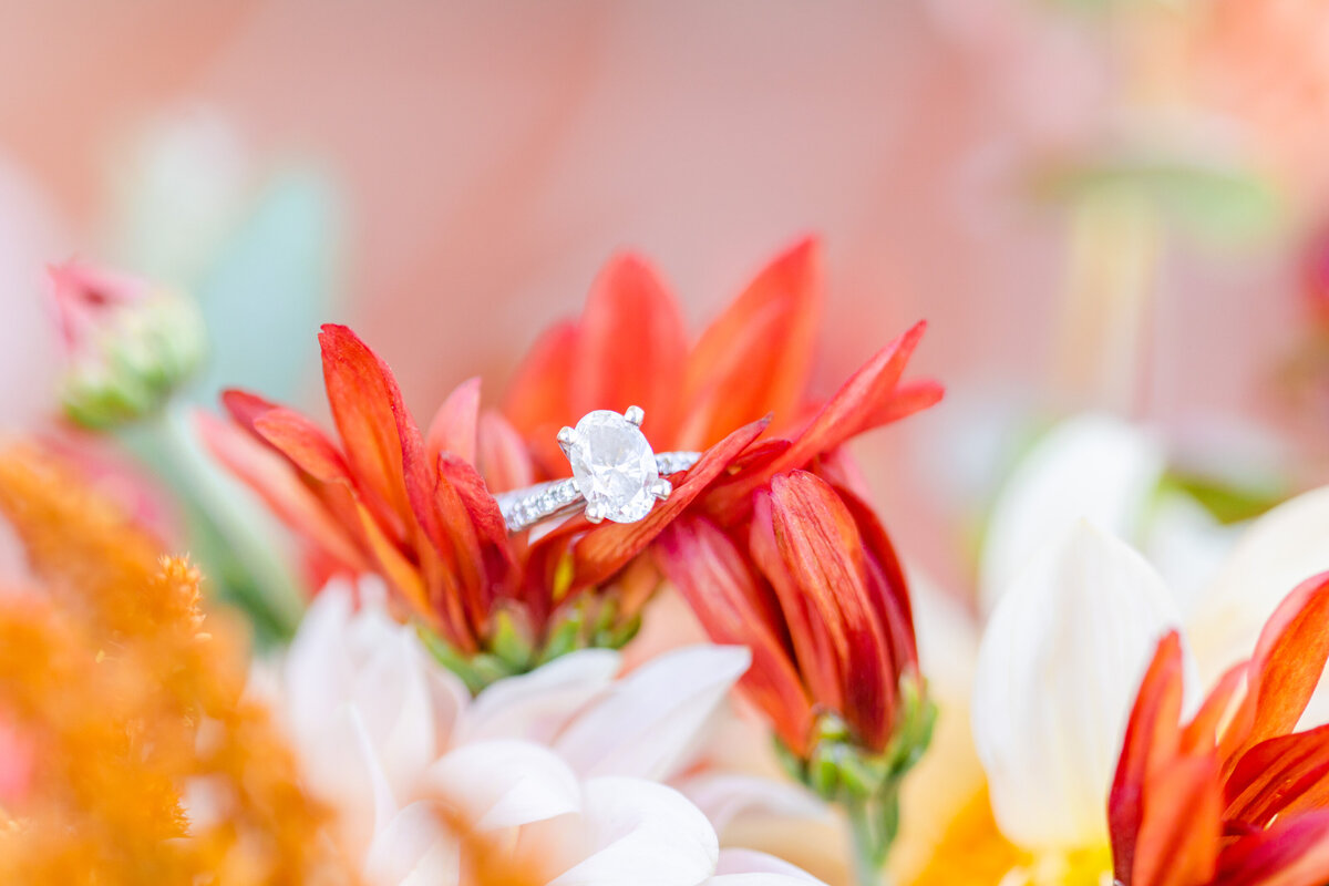 engagement ring in orange flowers