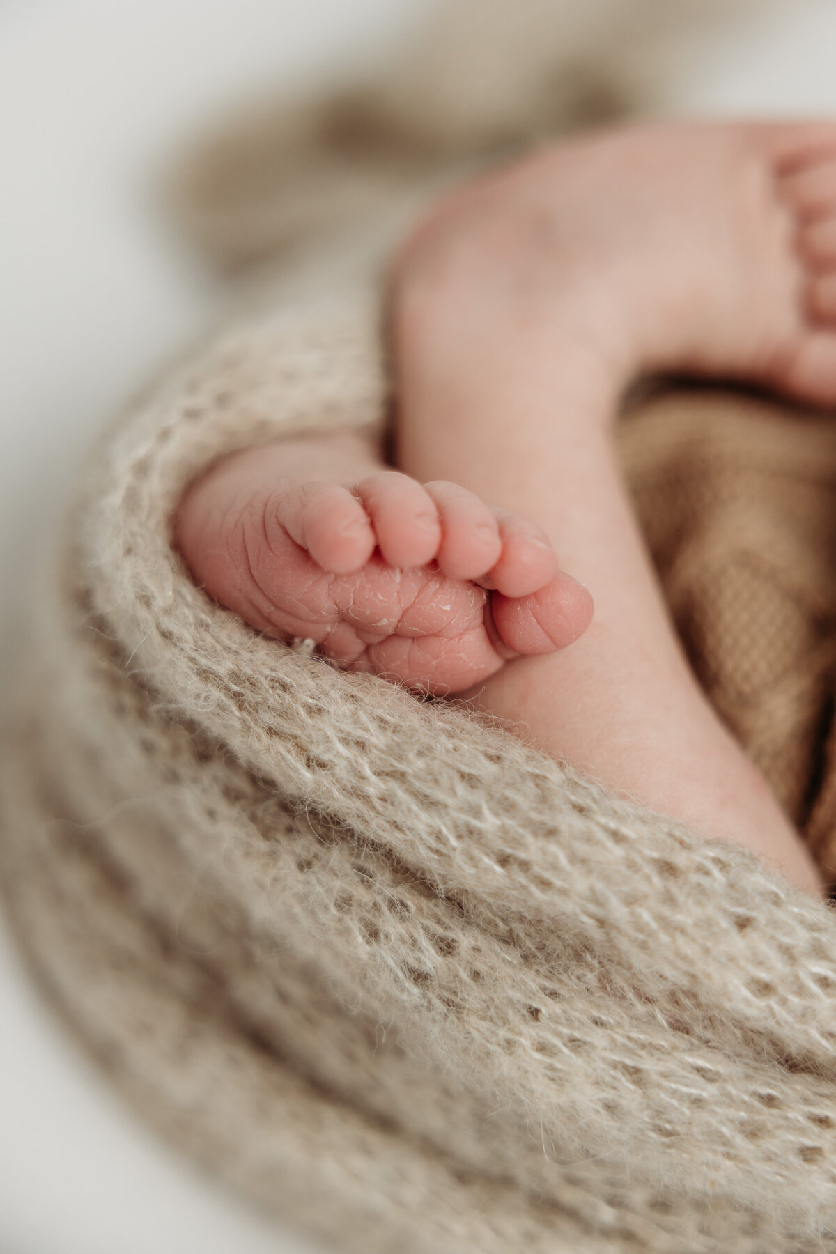 mary-wiebe-newborn-session (21)