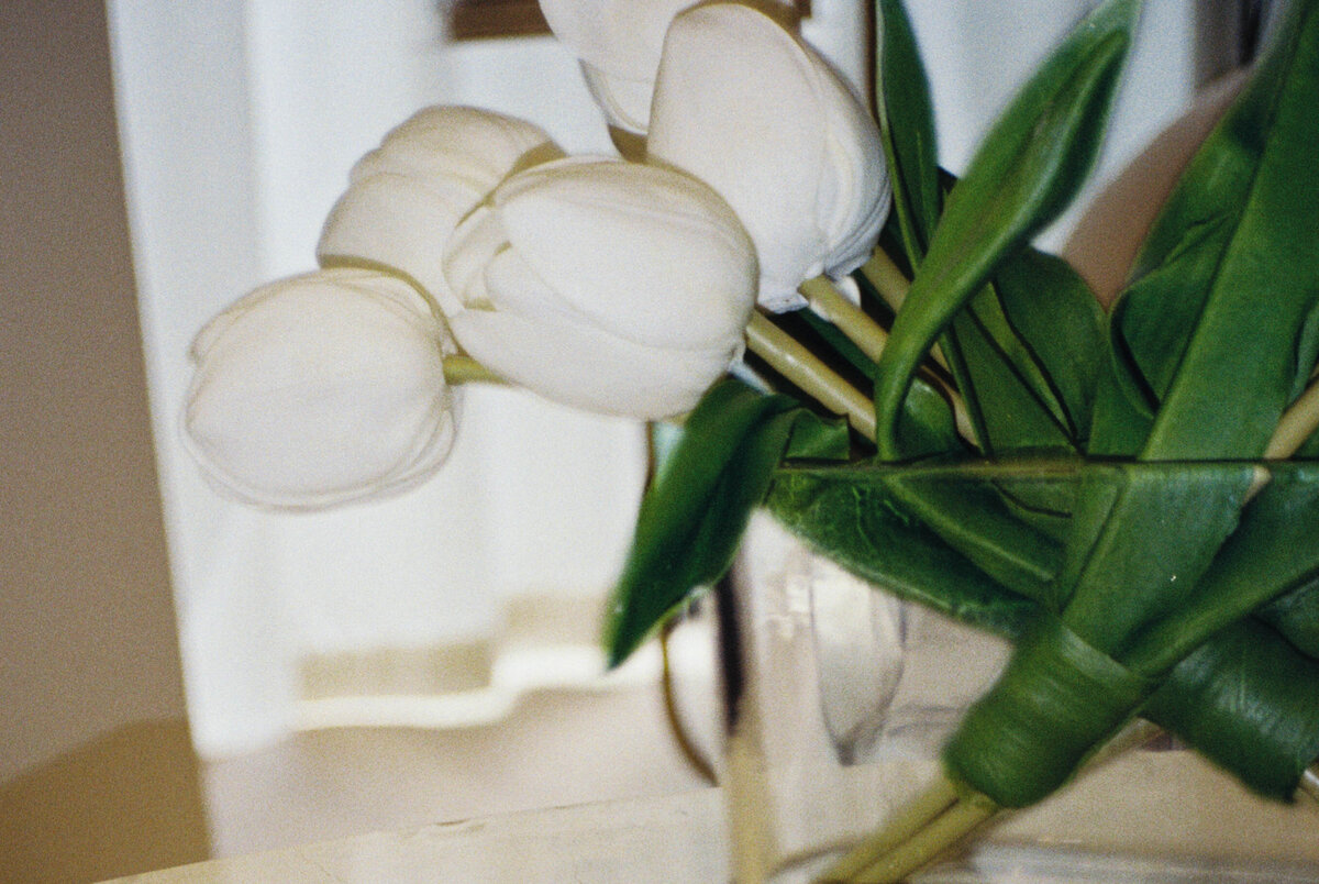 FILM-30-2