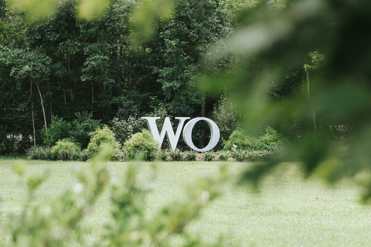 The Wells-011