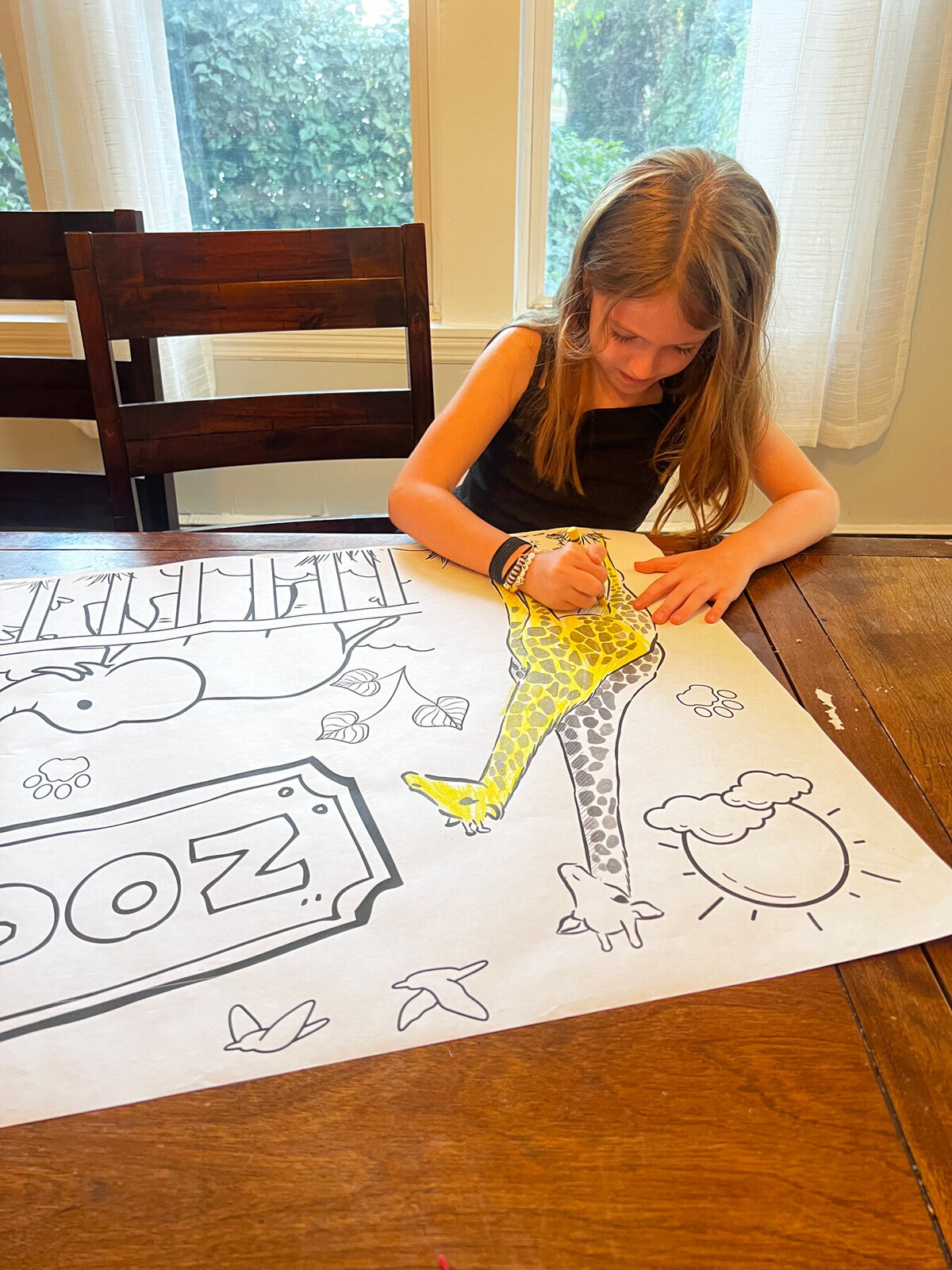 mylittlepicassos-coloring-banner-zoo6