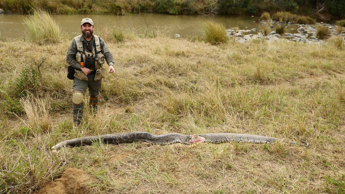 Finding BIG snakes with Jason Miller and Raven 6 Studios