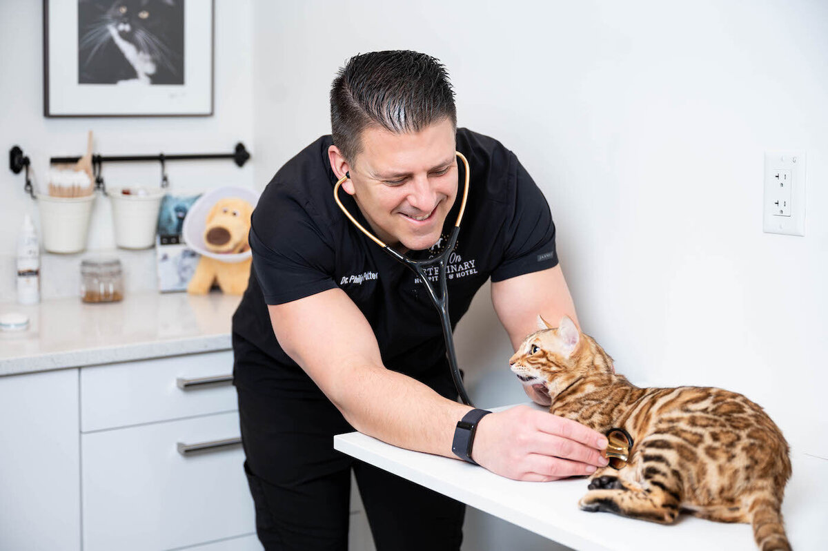 Dr. Putter with cat in exam room (1)