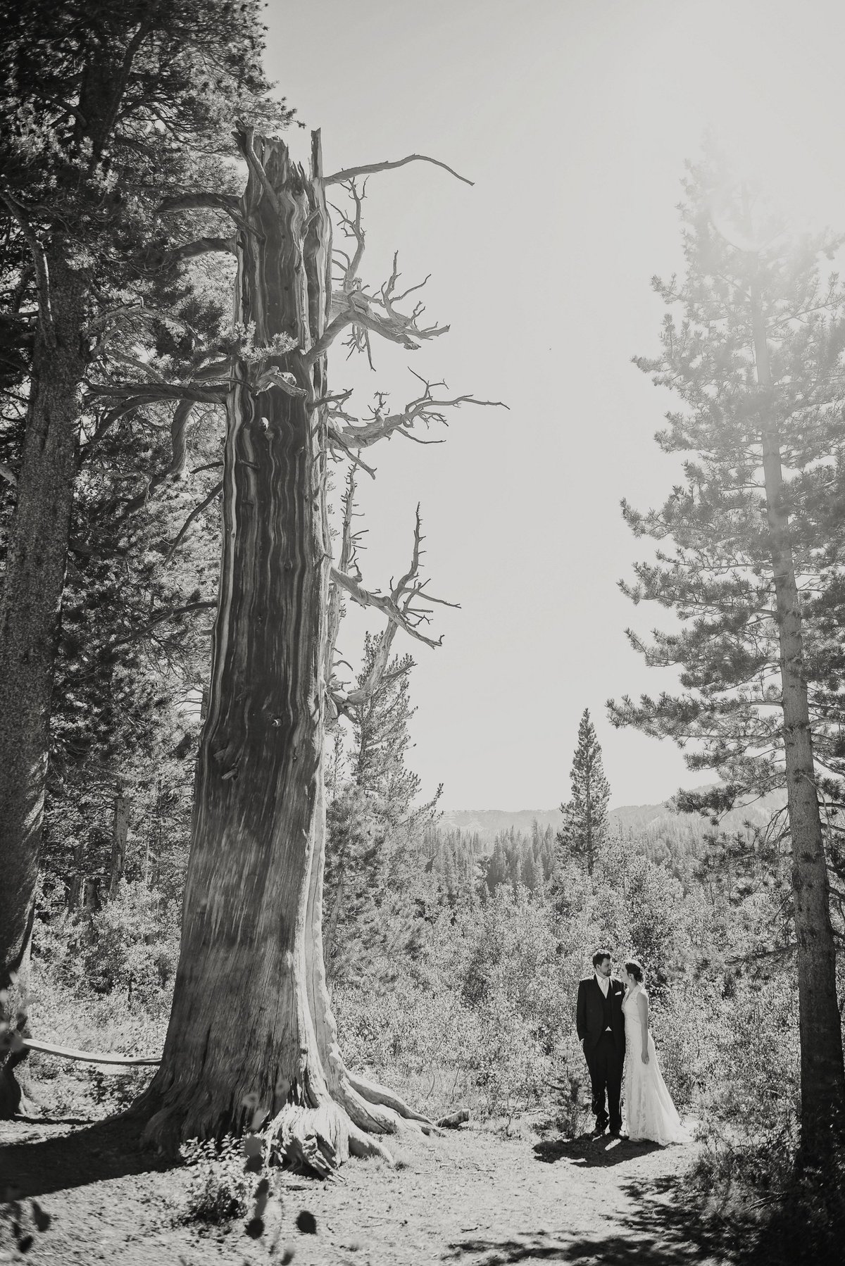 Mammoth Lakes Tamarack Lodge Wedding Photographer