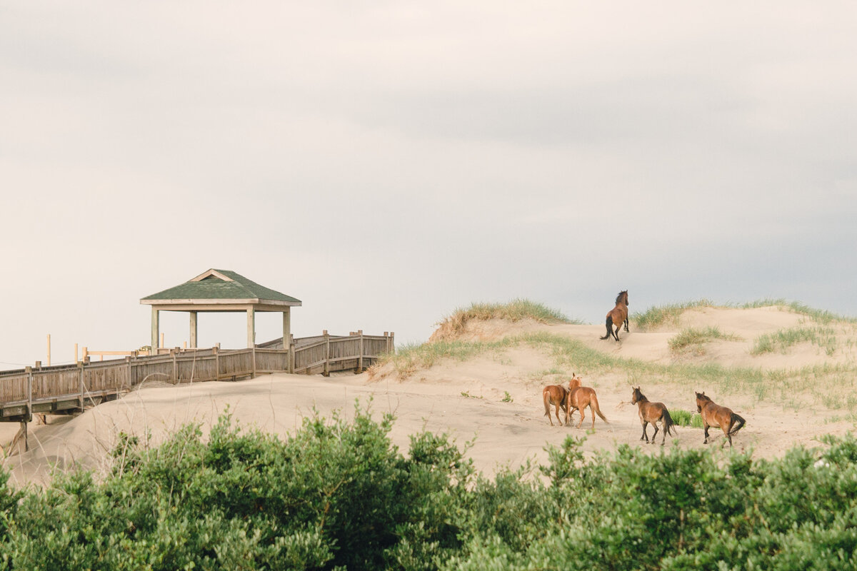 Beach-Wedding-outer-Banks90