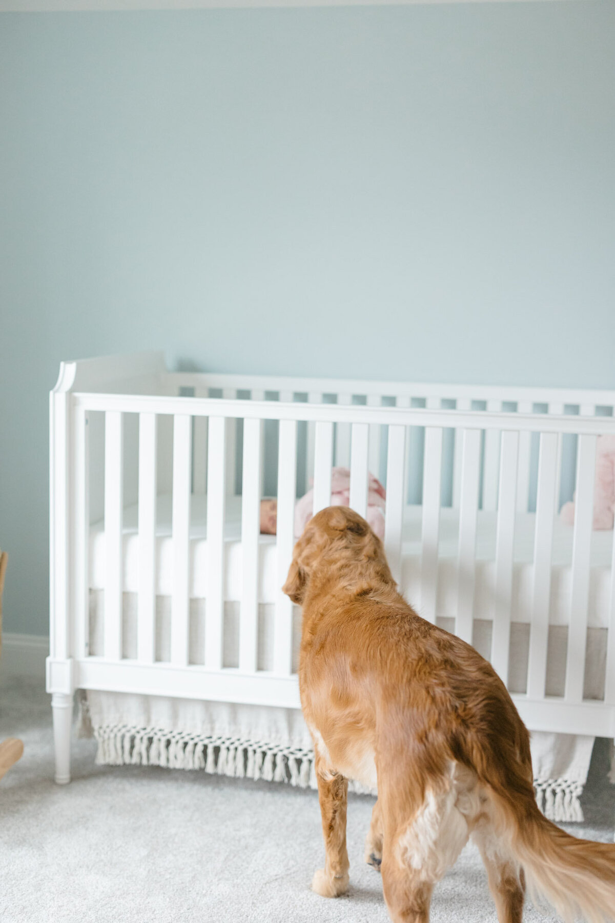 louisville-newborn-photographer-missy-marshall-42