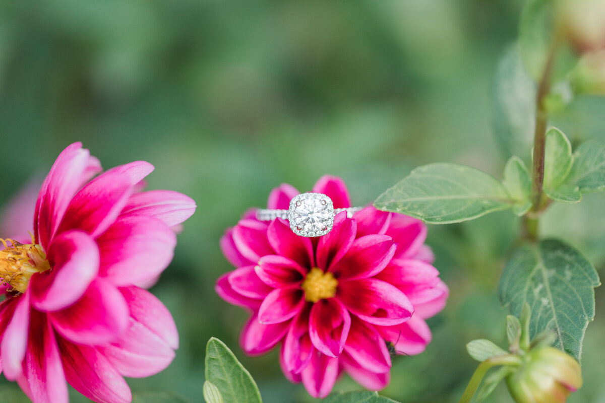 Jennifer B Photography-Phillip & Kristina-Engagement-2020-0130