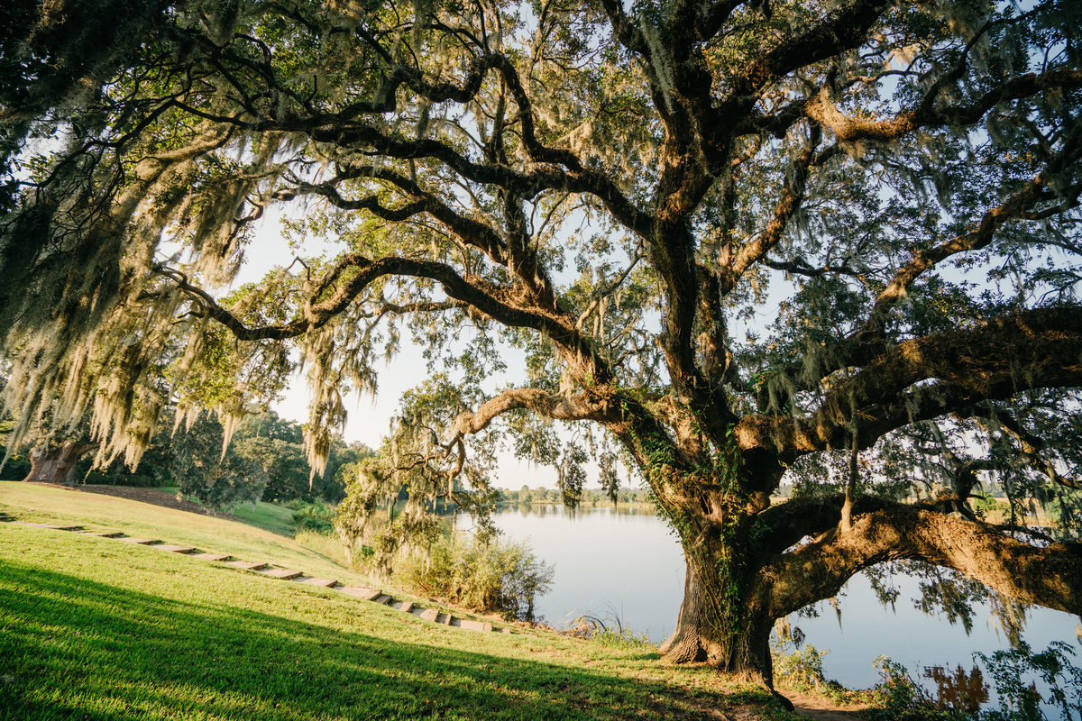 charleston-wedding-venues-middleton-place-philip-casey-photography-005