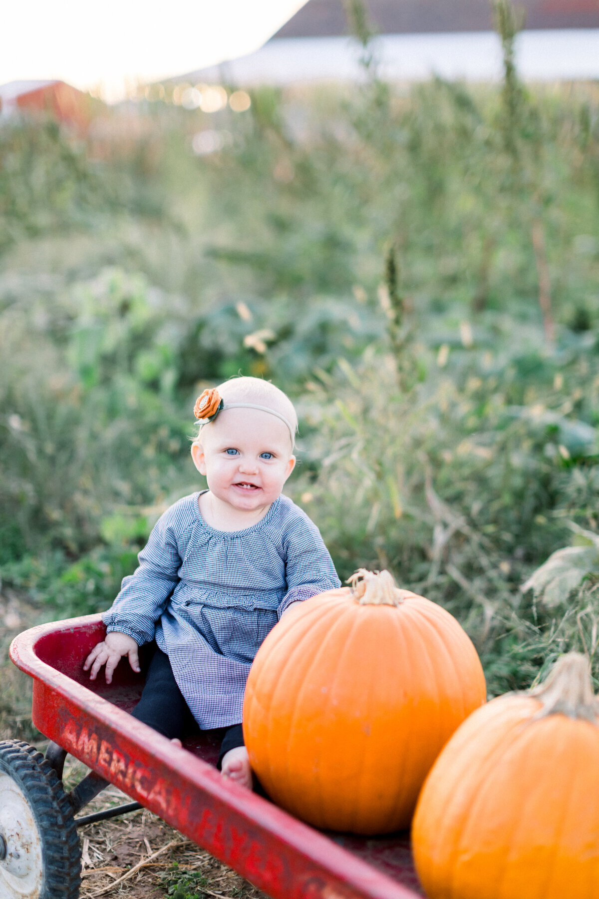pumpkinpatch2019-15