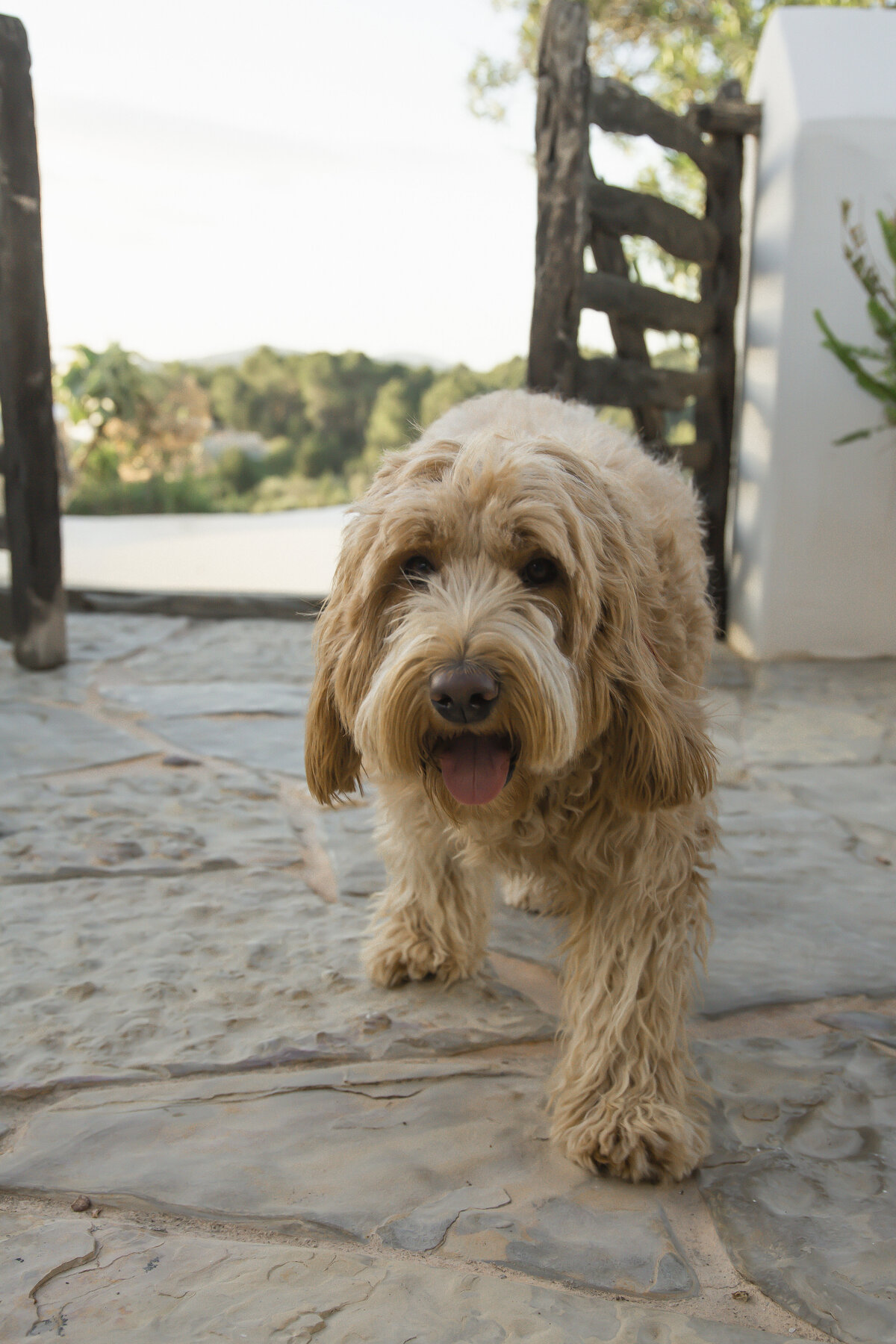 bo-eppink-photography-farm-labritja-botanica-campaign-ibiza-spain-lifestyle-5
