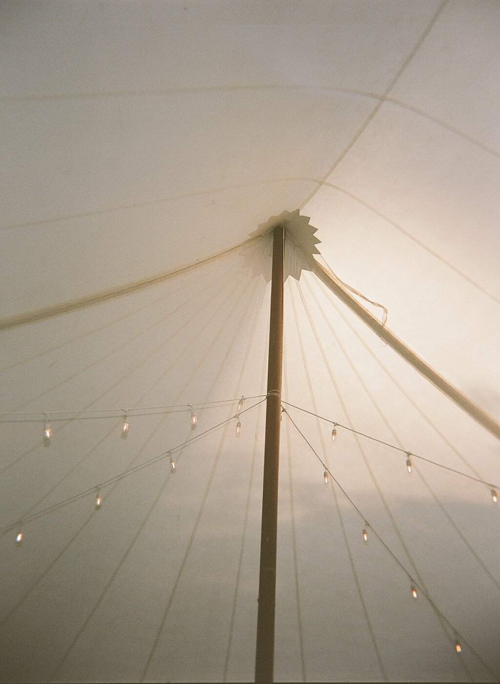 736202_0003