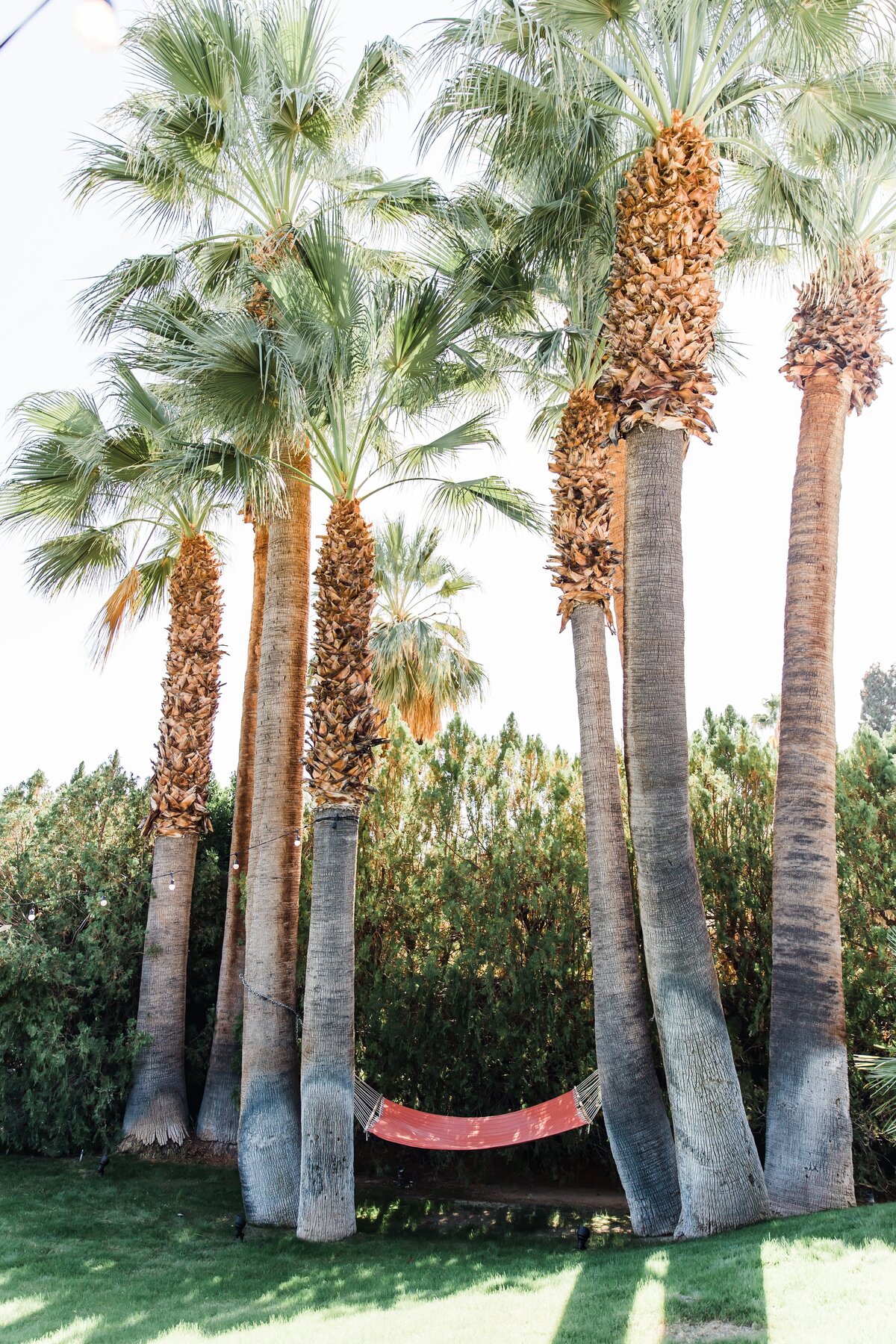AbieLivesayPhotography-PalmSpringsWeddingPhotographer-KristenPhilPV-9