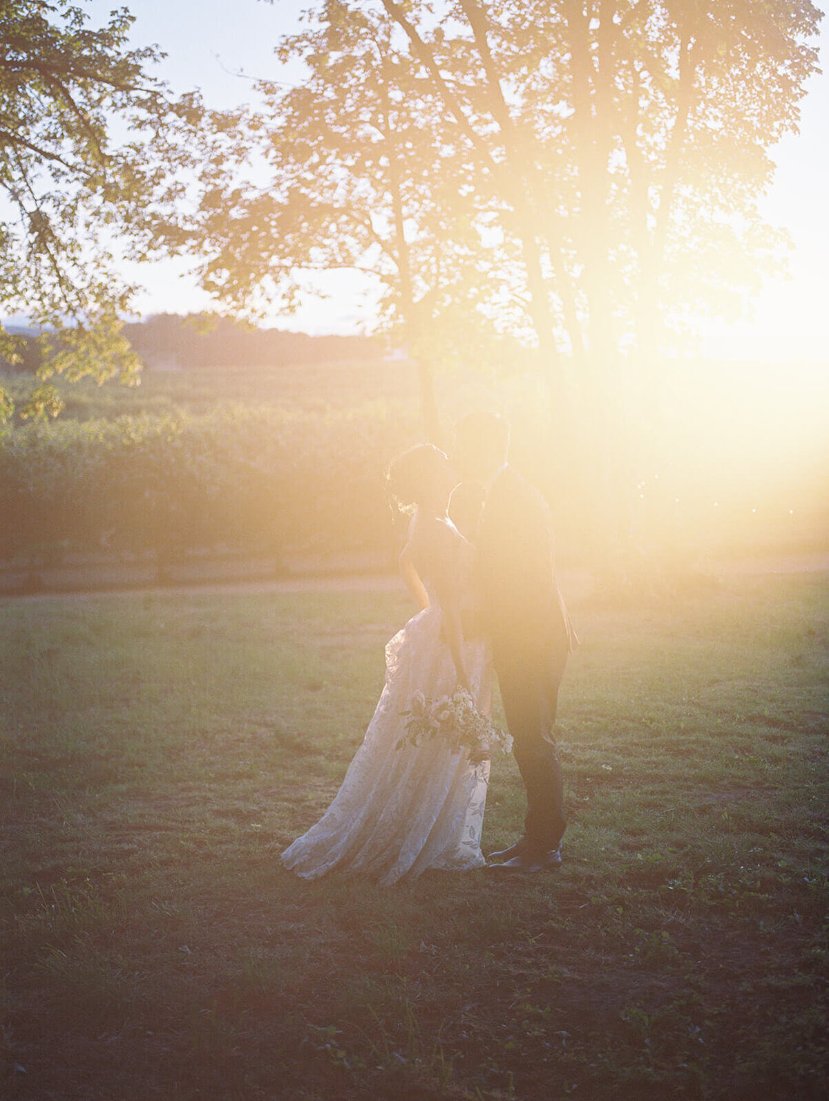 A bride and groom kiss with sunlight shining on them.
