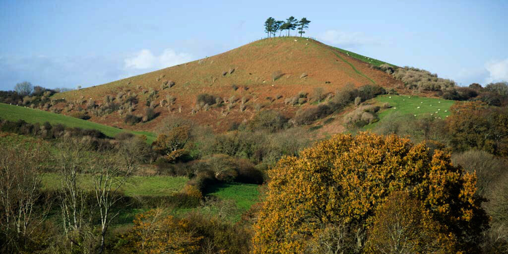 wf_colmers_hill_w01