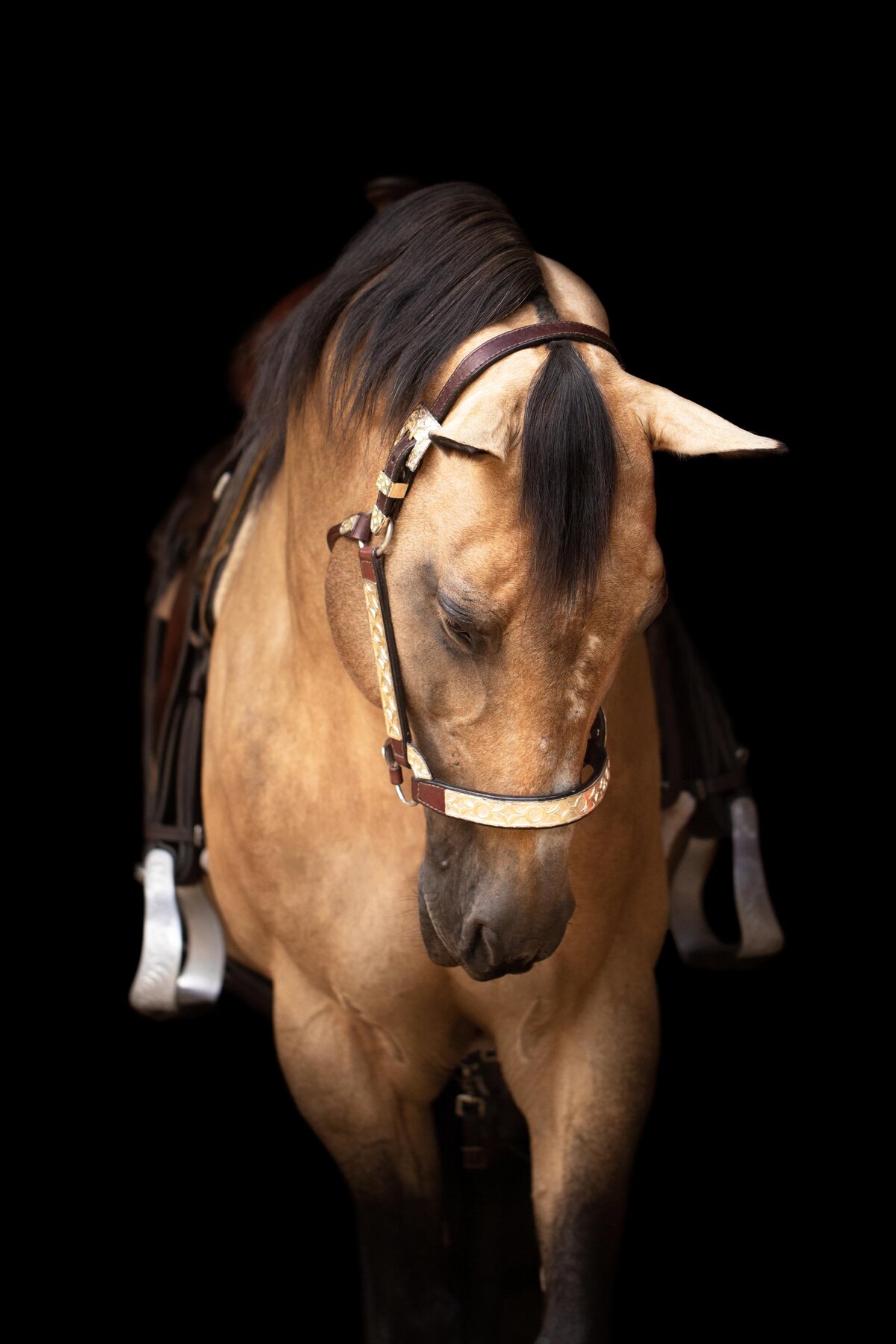 Portfolio-blackfotografie-galerij7-ByMarita