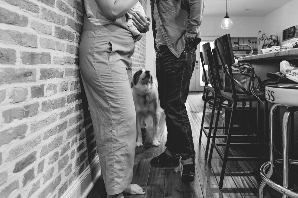 fresh-48-photographer-washington-DC