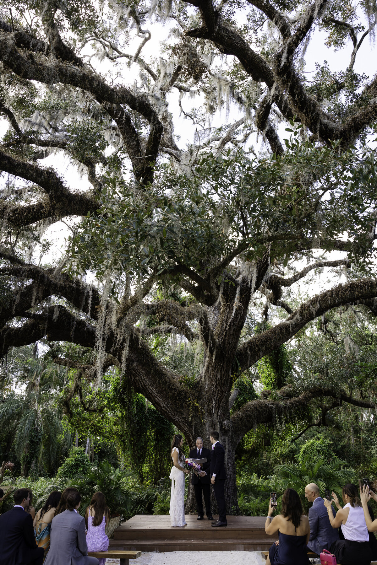 0063-cara-dehart-lewis-photography-del-favero-oasis-tampa-elopement-in-florida-chantilly-chic-celebrations