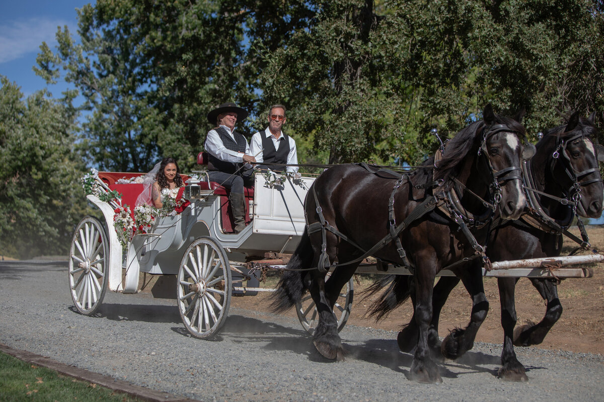 wedding ceremony with horse and carriage