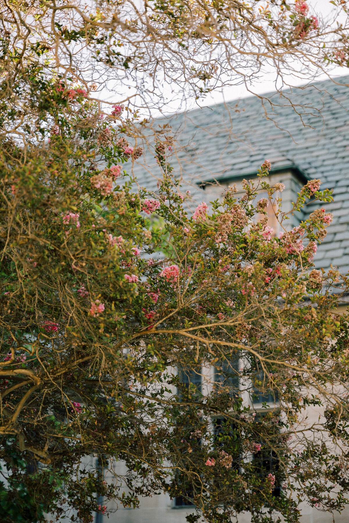 greystone2-300