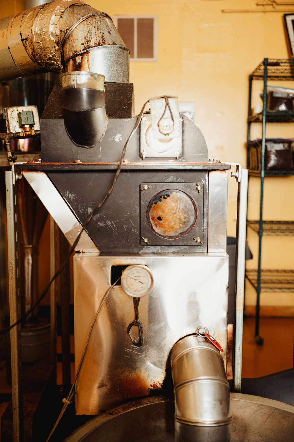 TracyD_Summer2025_010