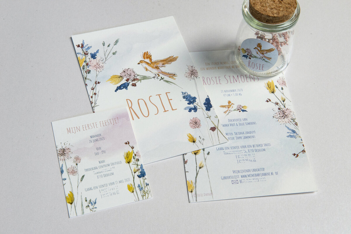 Geboorteconcept_Rosie_5