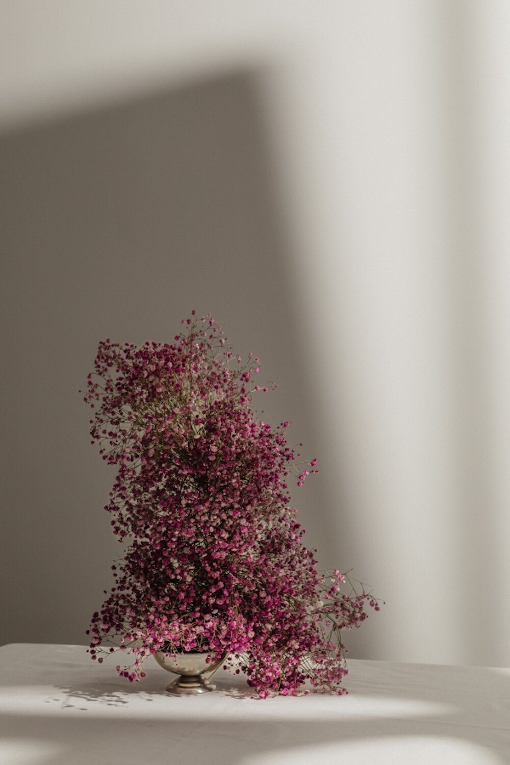kaboompics_flowers-34626