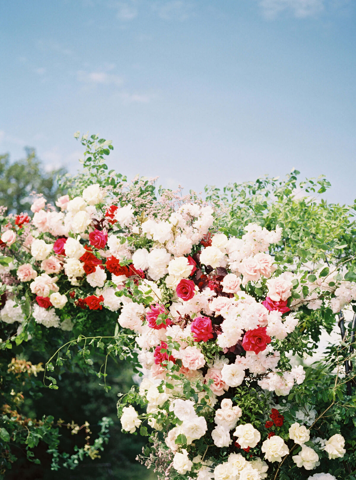 luxury wedding flower arch with roses