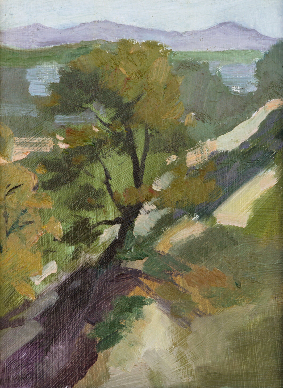 Tree Encinitas 6x8