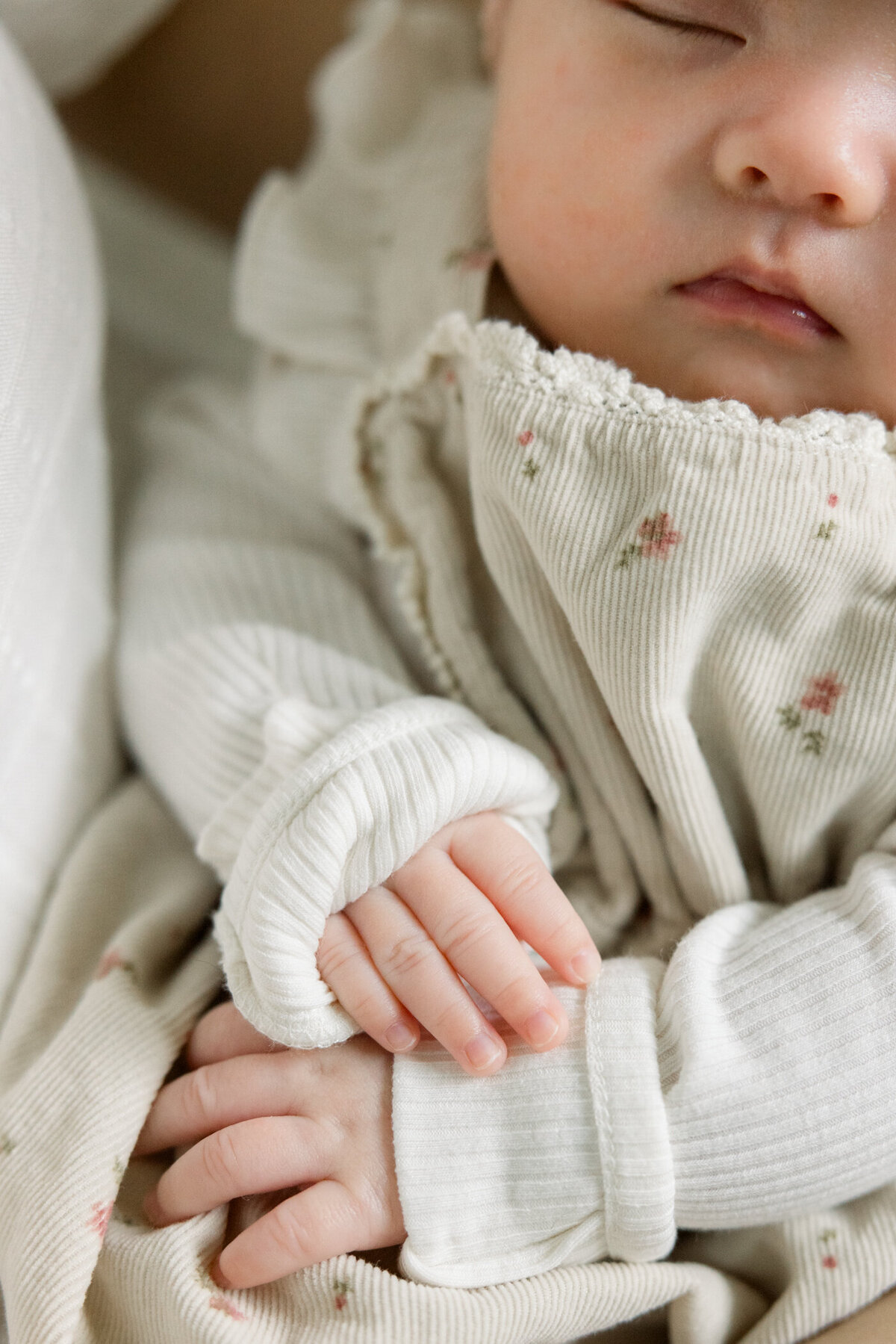 OC Newborn Photographer-January 20, 2024-31