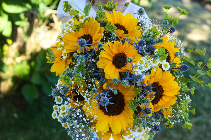 BeeHaven Flower Farm Bonners Ferry Idaho Floral Florals Classes Workshops Farm Stand Fresh Cut Flower Bouquets All Occasion Flowers Weddings Events Wedding Funeral Sympathy Grower Growing Farmer 3
