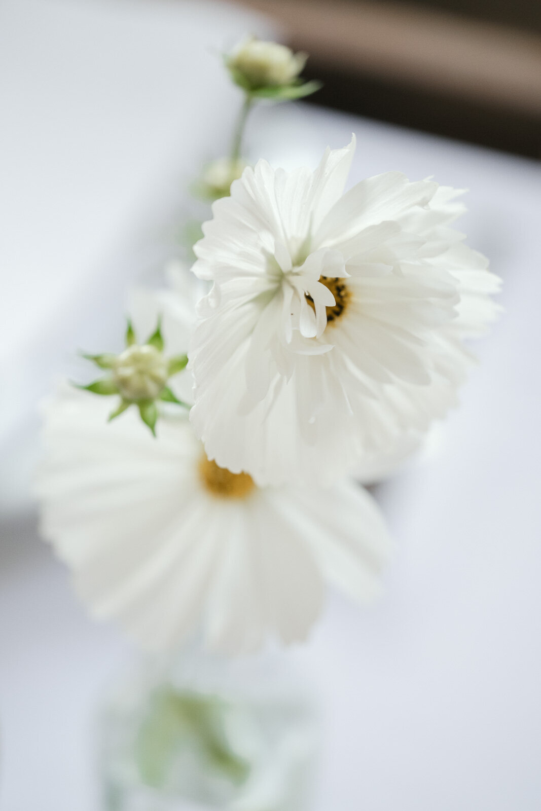 Elegant Wedding at Hinwick House, Northamptonshire - Destination Wedding Photography-141