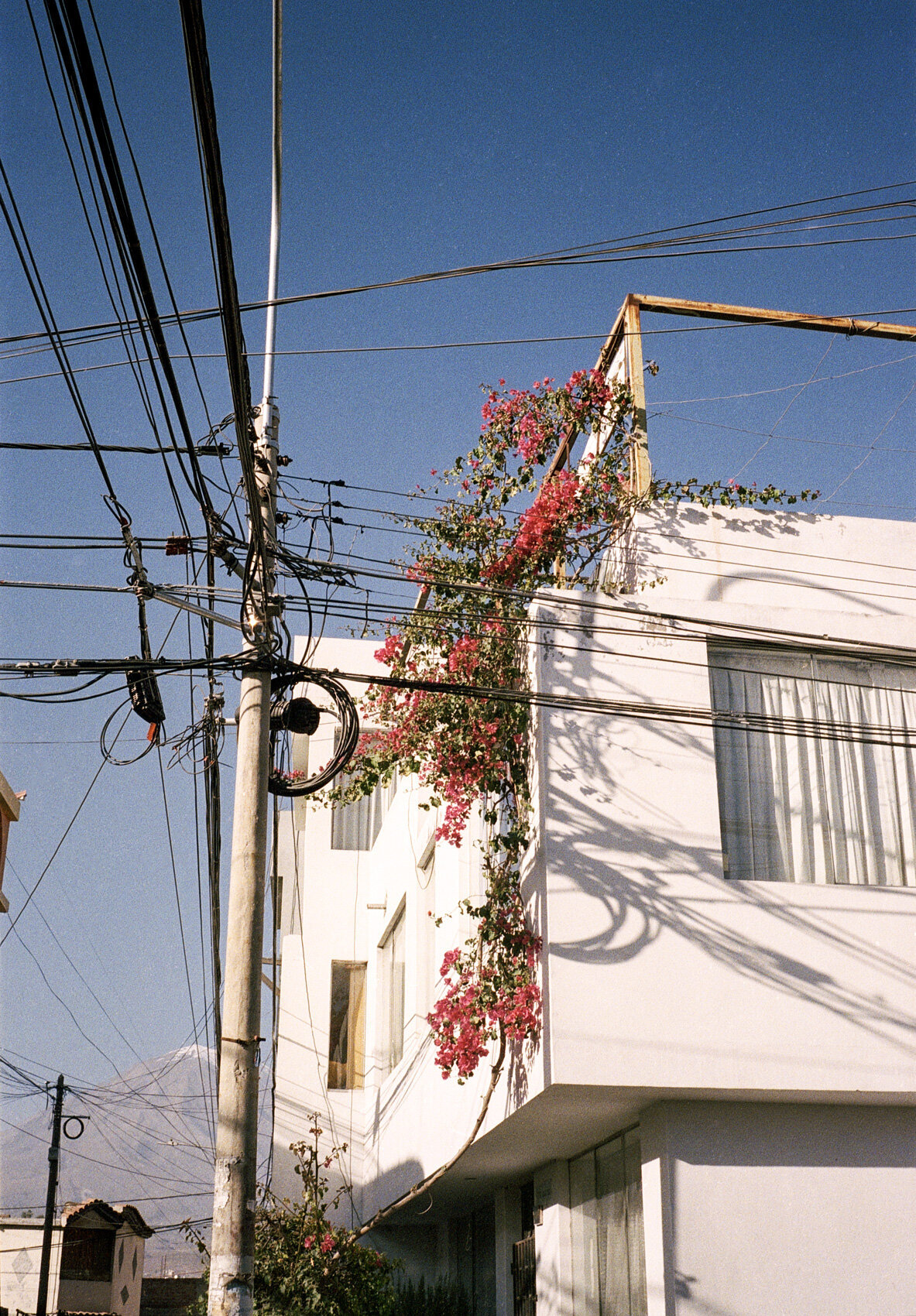 Fotoreeks_Muchoscolores_22
